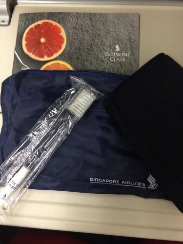 Singapore Airlines economy amenities