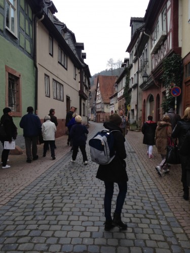 Mittenberg APT River Cruise