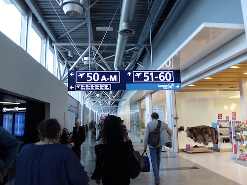 Finnair's non-Schengen business class lounge to the right, Gates 50A-M to the left.