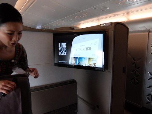 23 Inch Entertainment Screen