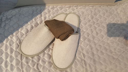 Singapore Airlines Business Class Slippers