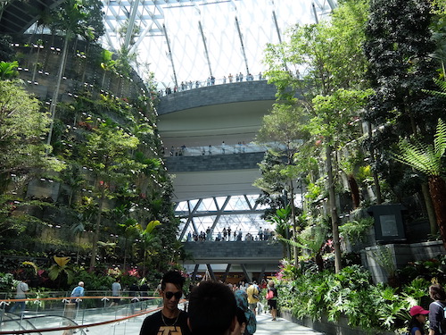 Lush tropical gardens surround the waterfall.