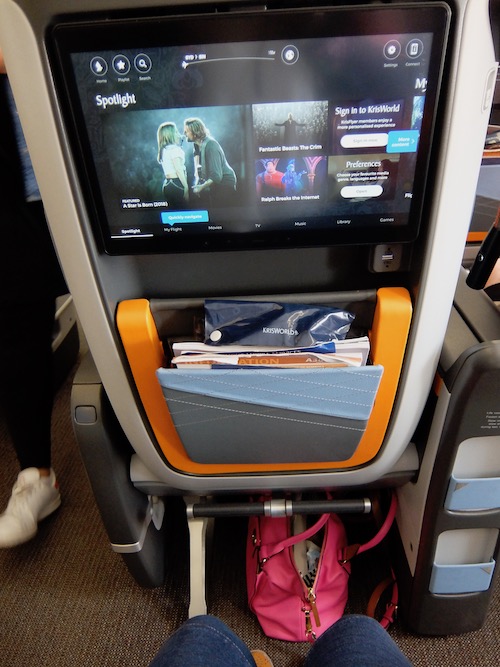 Personal entertainment screen and storage pockets