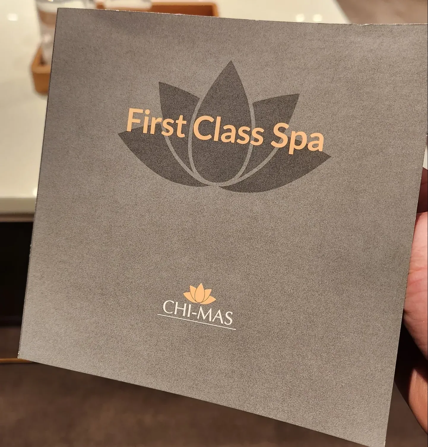 Lufthansa First Class Lounge